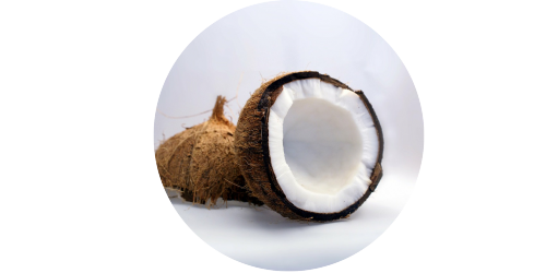 Coconut (Extra) (TPA)